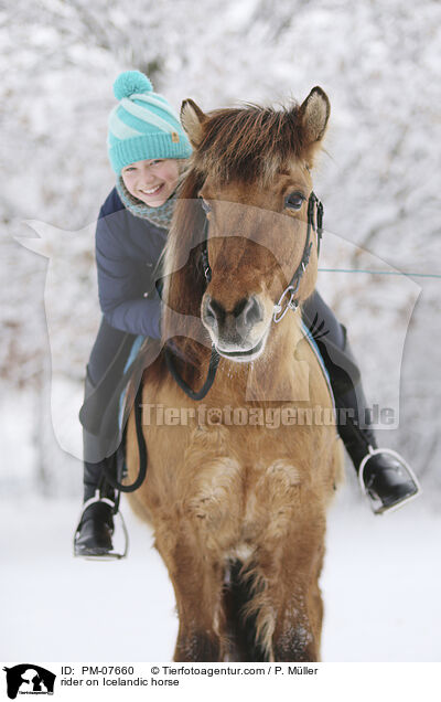 Reiterin auf Islnder / rider on Icelandic horse / PM-07660