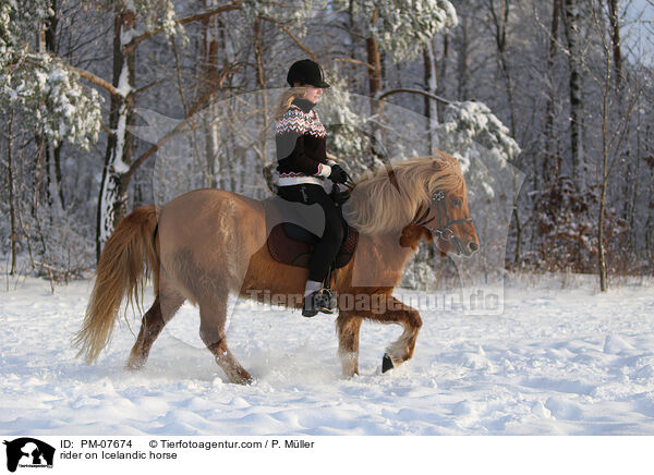 Reiterin auf Islnder / rider on Icelandic horse / PM-07674