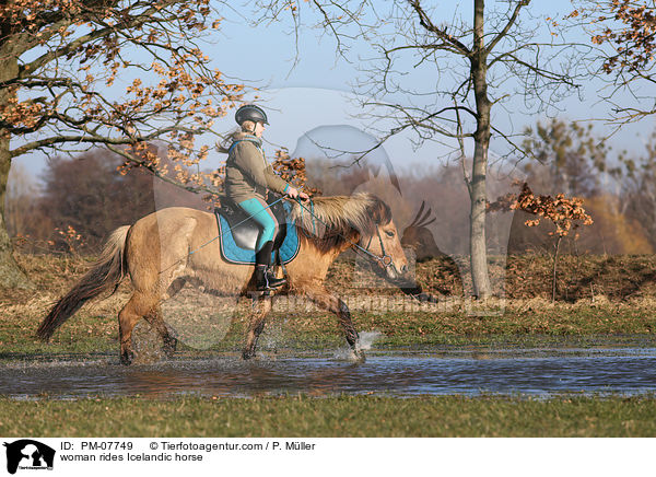 Frau reitet Islnder / woman rides Icelandic horse / PM-07749