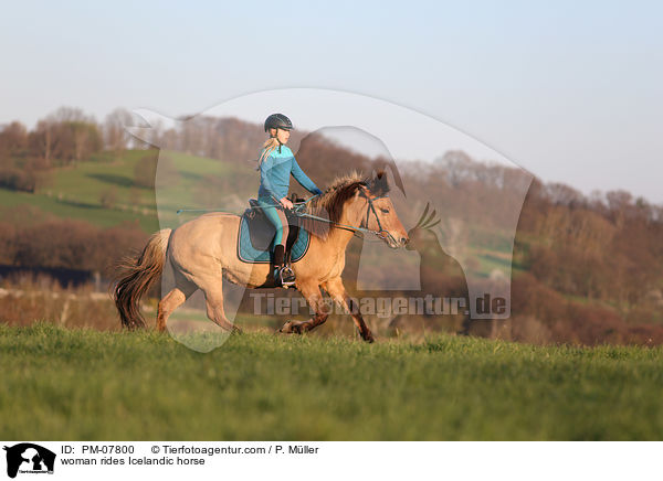 Frau reitet Islnder / woman rides Icelandic horse / PM-07800