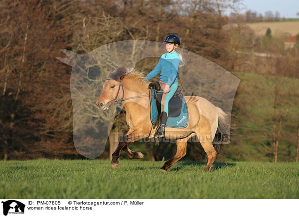Frau reitet Islnder / woman rides Icelandic horse / PM-07805