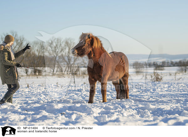 Frau und Islnder / woman and Icelandic horse / NP-01484