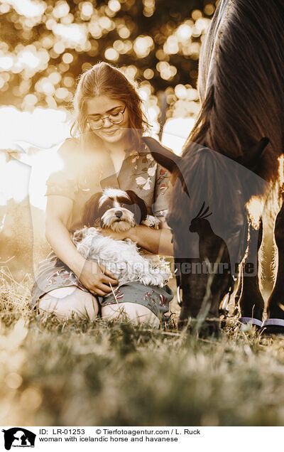 Frau mit Islnder und Havaneser / woman with icelandic horse and havanese / LR-01253