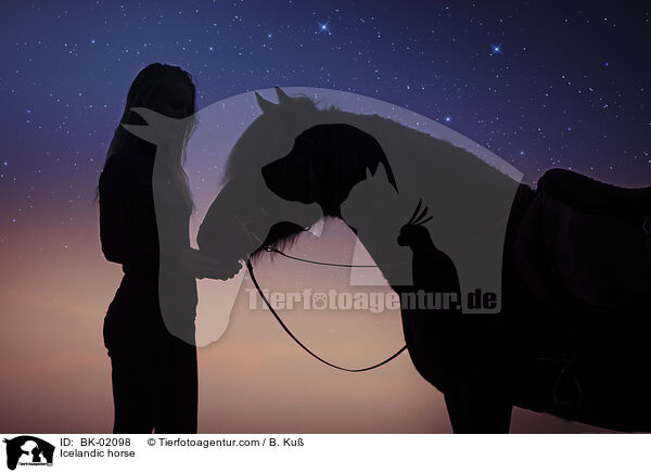 Islnder / Icelandic horse / BK-02098