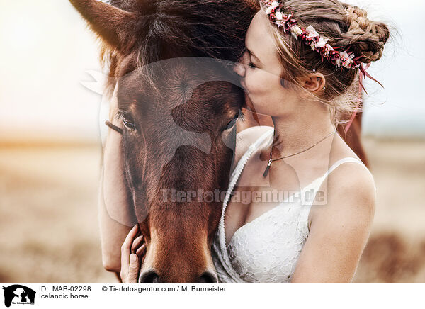 Islnder / Icelandic horse / MAB-02298