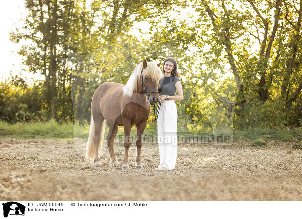 Icelandic Horse / JAM-06049