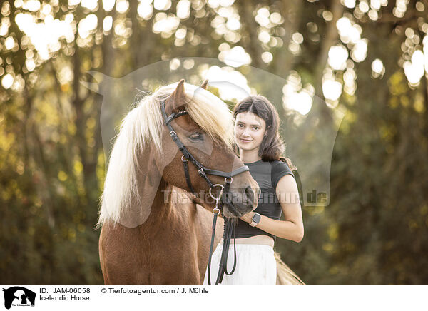 Icelandic Horse / JAM-06058