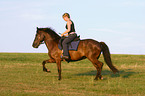 riding with Islandpony