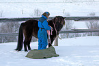 Icelandic horse