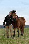 man and Icelandic horse