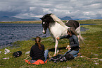 woman and Icelandic horse