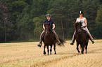 woman rides Icelandic horses