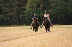 woman rides Icelandic horses