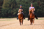 woman rides Icelandic horses
