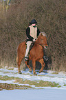 riding an Icelandic horse
