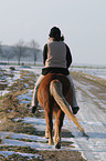 riding an Icelandic horse