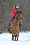 riding an Icelandic horse
