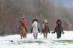 riding Icelandic horses