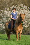 woman rides Icelandic horse