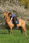 woman rides Icelandic horse
