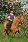 woman rides Icelandic horse