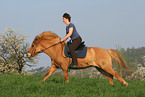woman rides Icelandic horse