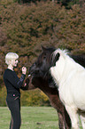 woman with Icelandic horses
