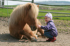 kid and Icelandic horse