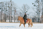 woman rides Icelandic horse