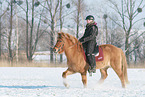 woman rides Icelandic horse