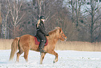 woman rides Icelandic horse