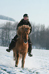 woman rides Icelandic horse