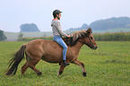 woman rides Icelandic horse