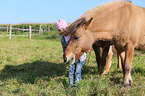 child and Icelandic horse