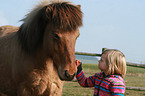 child and Icelandic horse