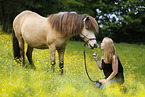 woman and Icelandic horse