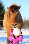 girl and Icelandic horse