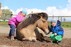 children and Icelandic horse