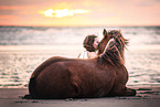 woman with horse