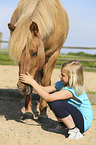 Icelandic Horse with girl