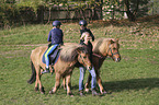humans with Icelandic Horse
