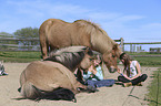 girls with Icelandic Horse
