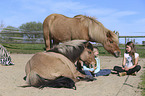 girls with Icelandic Horse