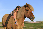 girl with Icelandic Horse