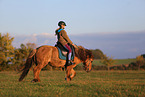 rider on Icelandic horse