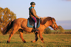 rider on Icelandic horse