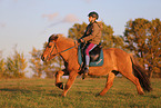rider on Icelandic horse