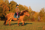 rider on Icelandic horse