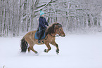 rider on Icelandic horse