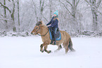 rider on Icelandic horse